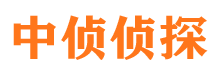 寻甸侦探公司